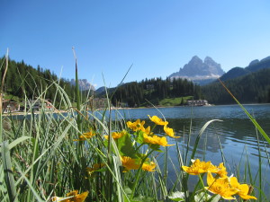 Lago Misurina - Auronzo di Cadore 