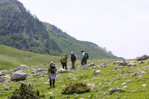 col11