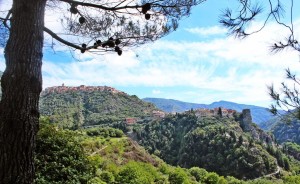 iozzo3