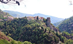 iozzo4