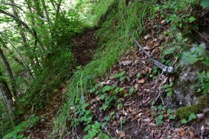 para3